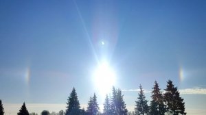Солнечное гало. Ленинградская область, деревня Яльгелево. Дата 14 февраля 2026 года. Утро.