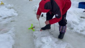 Поимки форели !!!