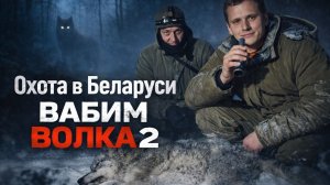 ВЗЯЛИ МАТЕРУЮ, охота на волка с вабой!