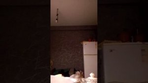 АЛЛАГЬ Велик ❤️