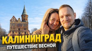 Весеннее путешествие по Калининграду и его окрестностям. Экспресс маршрут.