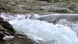 Весенние мотивы. (проект "Оклик вечности")