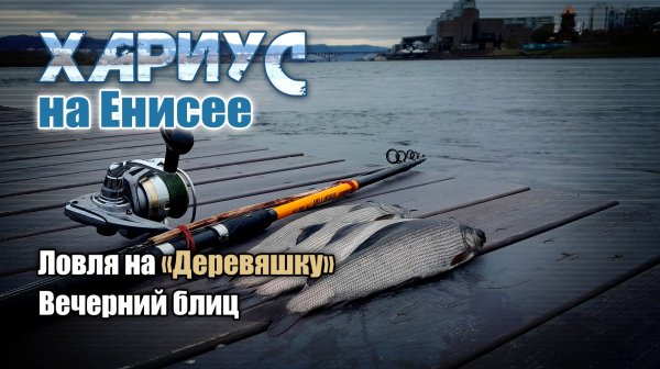 Хариус на Енисее. Ловля на Деревяшку. Вечерний блиц.