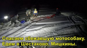 Спасаем сбежавшую мотособаку. Едем в Шестаково, Мишкины.