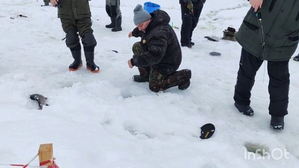 Активные поимки на VIP зоне