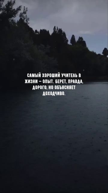 #1081 Цитата дня. Мотивация.