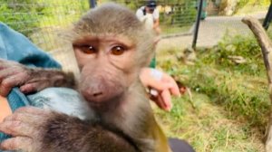 ЖИТЬ ЗДОРОВО!!! Басик кричит людям СПАСИТЕ, ПОМОГИТЕ! Люся-заботушка, а Тимоша ЗАПЕЛ!