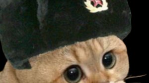 играем в стандофф на стриме