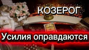 КОЗЕРОГ - НЕОЖИДАННЫЕ ПЕРЕМЕНЫ с 15 по 28 февраля 2026г. Таро прогноз/расклад.