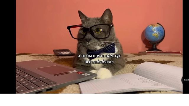 (я не капирую просто хочу чтоб вы подписались на них)бя бя бы бя бя!!! смотреть онлайн