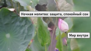 Ночная молитва: защита, спокойный сон и свет до утра