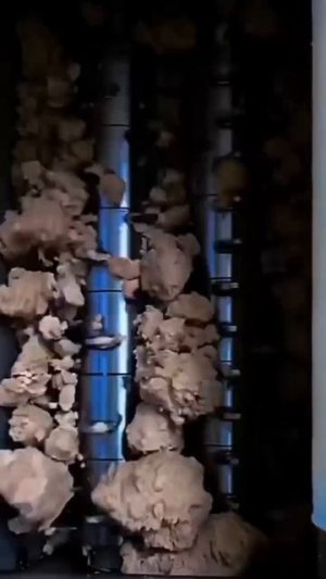 Топ 1 концовка