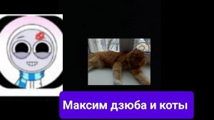 Дзюба и коты