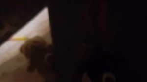 Новое логово