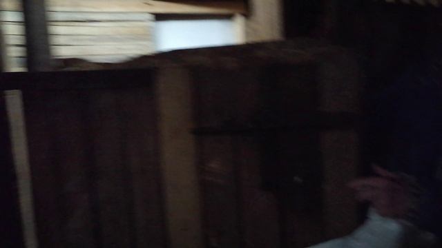 вечер на конюшне 2026.02.13_19.31.05.mp4