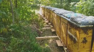 Переезд в горы на Липу.