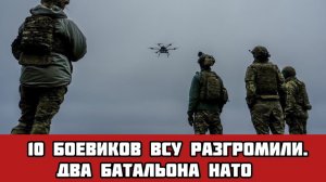 10 боевиков ВСУ разгромили два батальона НАТО в Эстонии. Кошмар Трампа