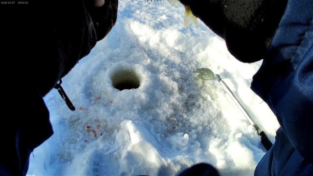 Спортивная ловля ерша смотреть онлайн