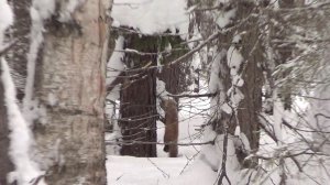 ОХОТА КАПКАНАМИ. Сезон 25-26год