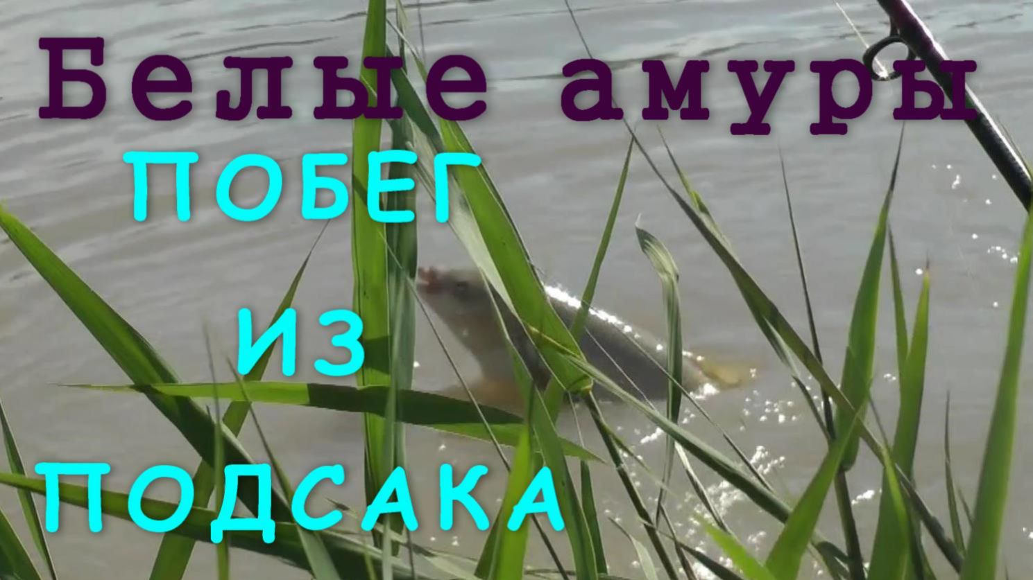 Рыбалка 6-2013