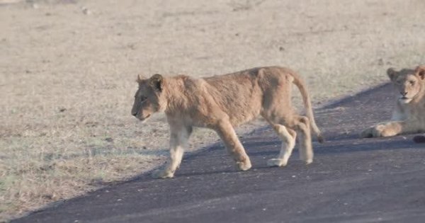 МУЗЫКА ДЛЯ СНА: РАССЛАБЛЕНИЕ И ПОКОЙ