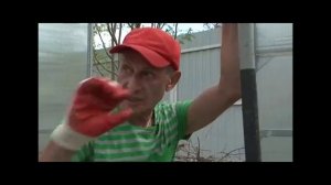 Редиска. Когда и как правильно посеять