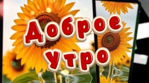 Доброе солнечное утро! Солнышко вам посылаю! Песня с добрым утром