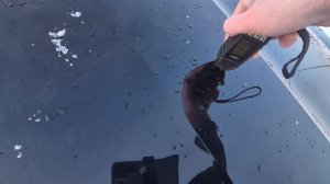 Диагностика ЛКП Skoda Octavia III (A7) Рестайлинг 1.6 TDI г.Тверь