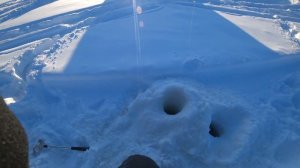 #IKUDZO HUNTER ВЫВЕЗ В -37 НА РЫБАЛОЧКУ 14 ФЕВРАЛЯ !ЩУКА БРАЛА ДАЖЕ НА МОРМЫШКИ!