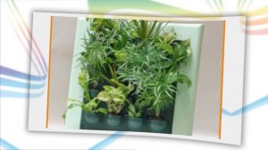 Вертикальное озеленение и столы-трансформеры !