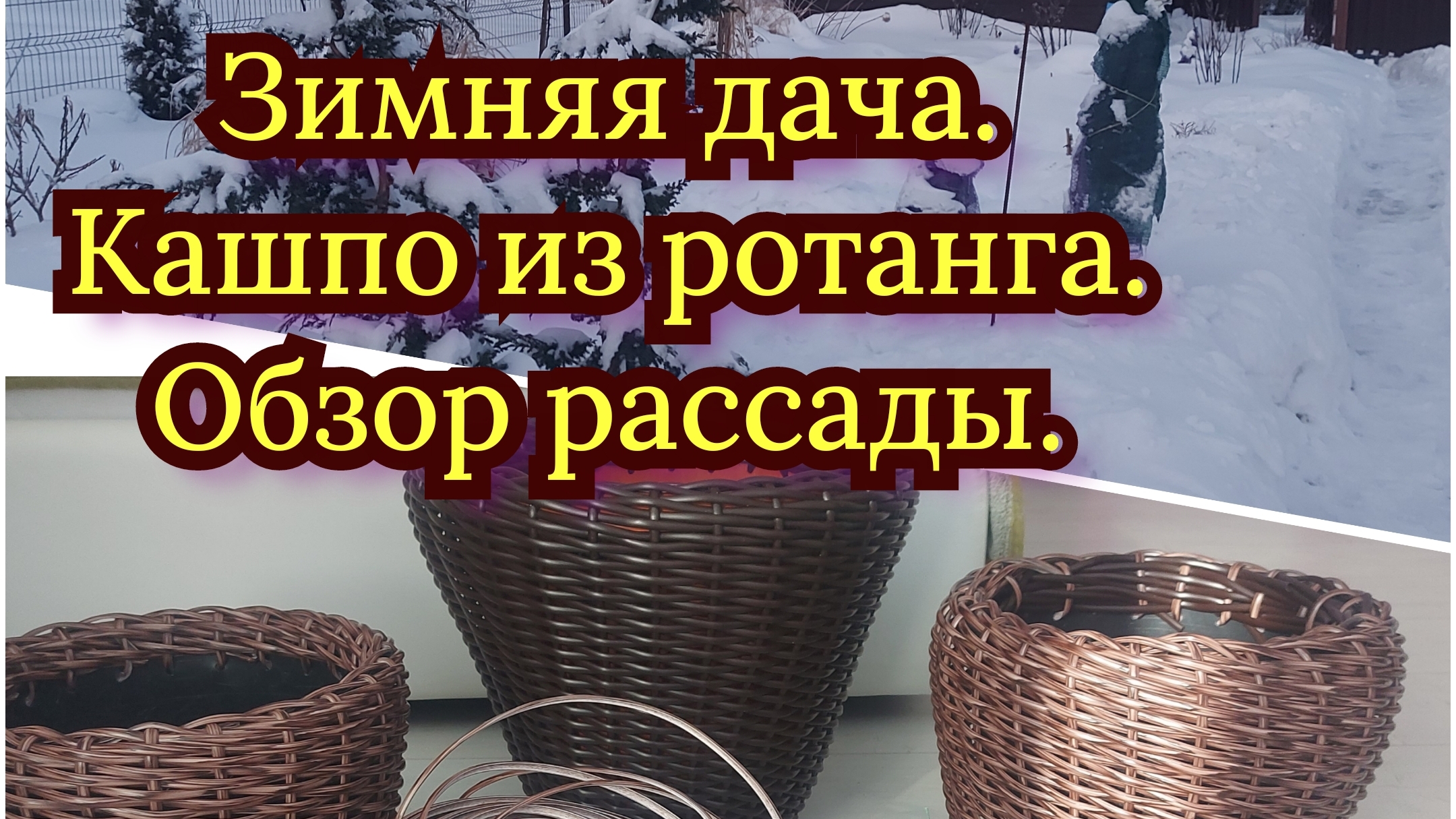 Как там мои нимфеи в пруду на даче?!!🤔 Рассада цветов подрастает и крепнет🪻🌱 😏 смотреть онлайн