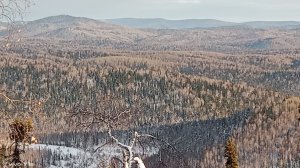 ПРОВЕРКА КАПКАНОВ ПОД ГРИБНЫМ ДОЖДЕМ, БЫТ В ТАЕЖНОЙ ИЗБЕ.