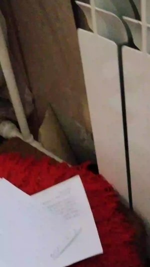 картофель хы