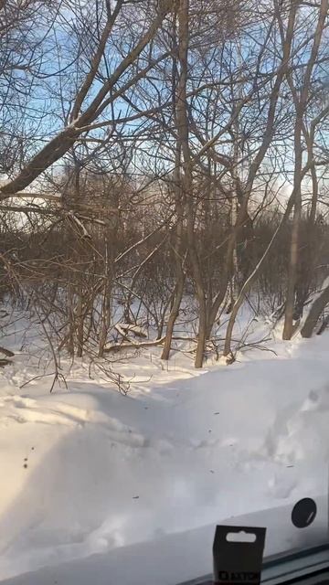 copy_057D4728-6E8B-4A48-A57D-CA5F5229305D