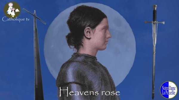 NDLP - Heaveans Rose