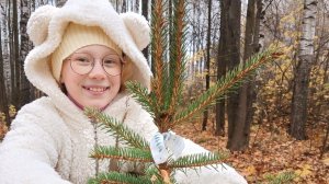 Колючка номер 8