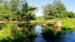 Река в Новгородской области ( Из архива )