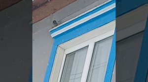 топлюсь в сугробе