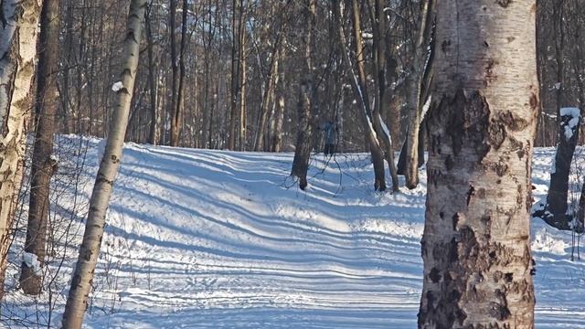 Воскресные лыжи