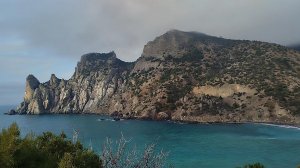 Новый свет. Можевеловая роща.