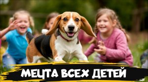 Бигль - порода собак о которой мечтают все дети!