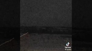 0ca3e7aee7484d610c1ab889a434342a.mp4