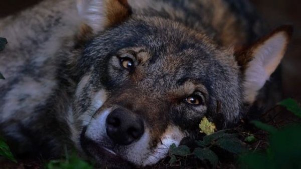 Garik Garik
Барак...💥