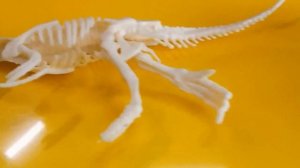 Изучаем динозавра.