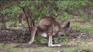 Правдивая Ольга. Руся и Пипонька. Это не мать. Как можно так унизить ребёнка?