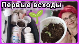 ДУМАЛА ПОКАЯТЬСЯ перед вами...ан НЕТ! Всё по плану!🙋