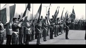 Мир без НАТО