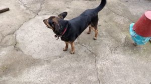 Делаем лестницу