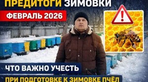 Предитоги зимовки февраль 2026. Что важно учесть при подготовке к зимовке пчёл.