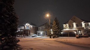 Ночная прогулка по снегу в пригороде Торонто. Расслабляющая зимняя атмосфера Снегопада